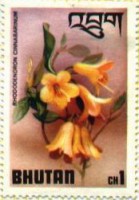 /album/buthan/bhutan-0-1-jpg/