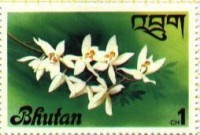 /album/buthan/bhutan-0-2-jpg/